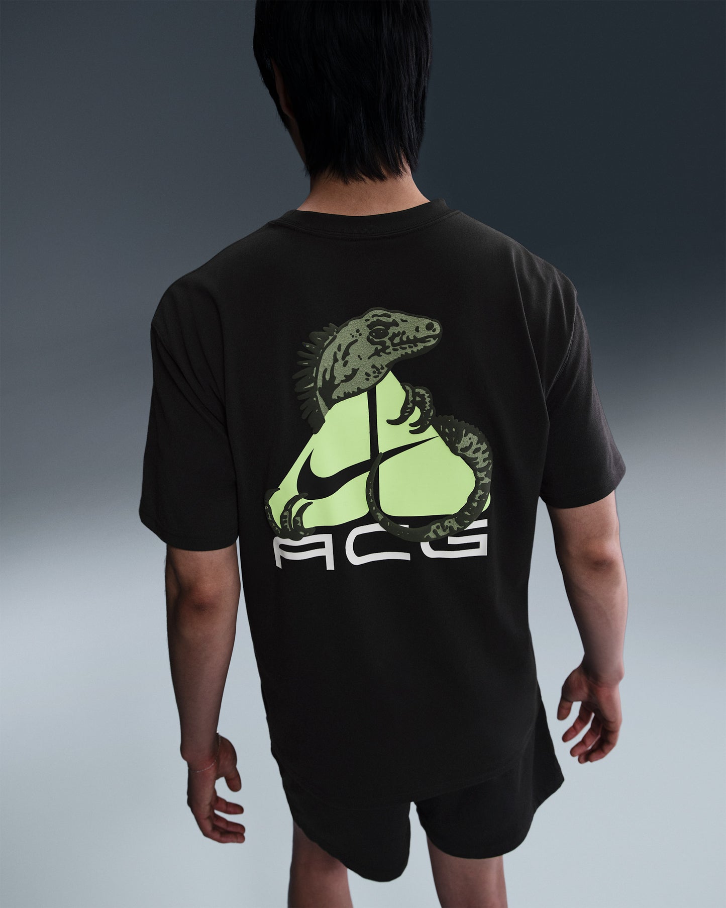 Camiseta ACG Iguana Dri-FIT