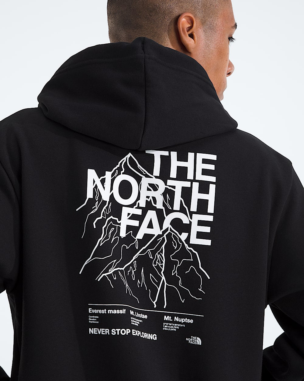 Moletom The North Face Evolution Half Dome